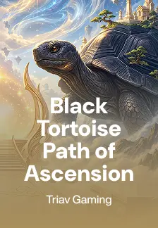 Black Tortoise Path of Ascension