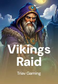 Vikings Raid